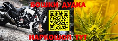 гидропоника Можга