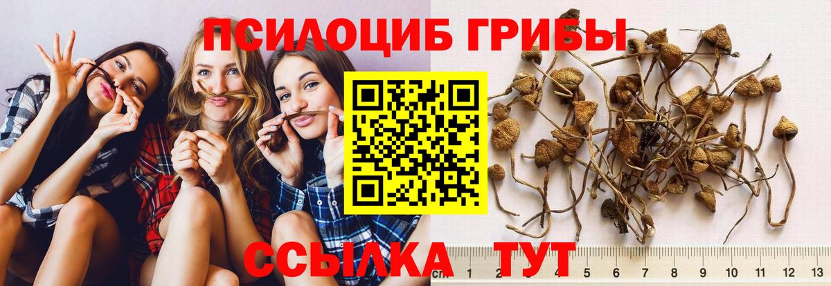 Галлюциногенные грибы ЛСД Воткинск