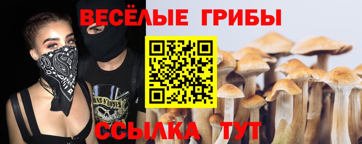 Псилоцибиновые грибы Psilocybe  Вход с VPN  Воткинск 